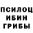 Псилоцибиновые грибы GOLDEN TEACHER Zaag ZAaa
