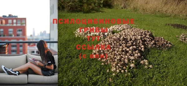 кокс Абаза