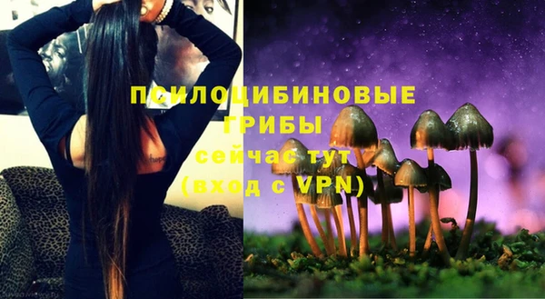 ПСИЛОЦИБИНОВЫЕ ГРИБЫ Дмитровск