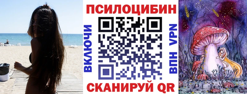 Галлюциногенные грибы Cubensis  купить наркоту  Староминская 